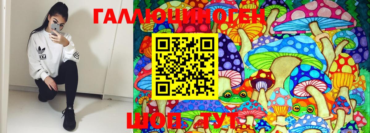 Псилоцибиновые грибы GOLDEN TEACHER Черногорск