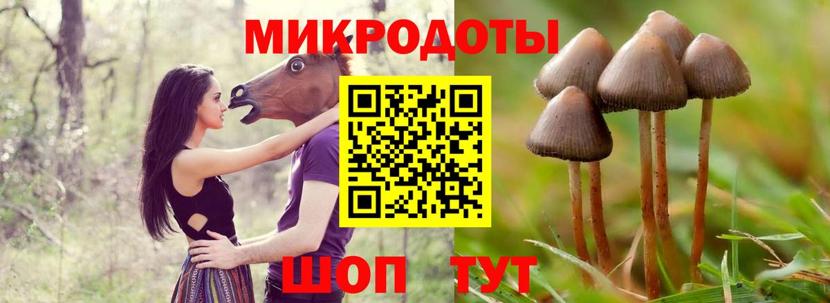 Галлюциногенные грибы Cubensis  где купить наркоту  Черногорск  Вход с VPN 